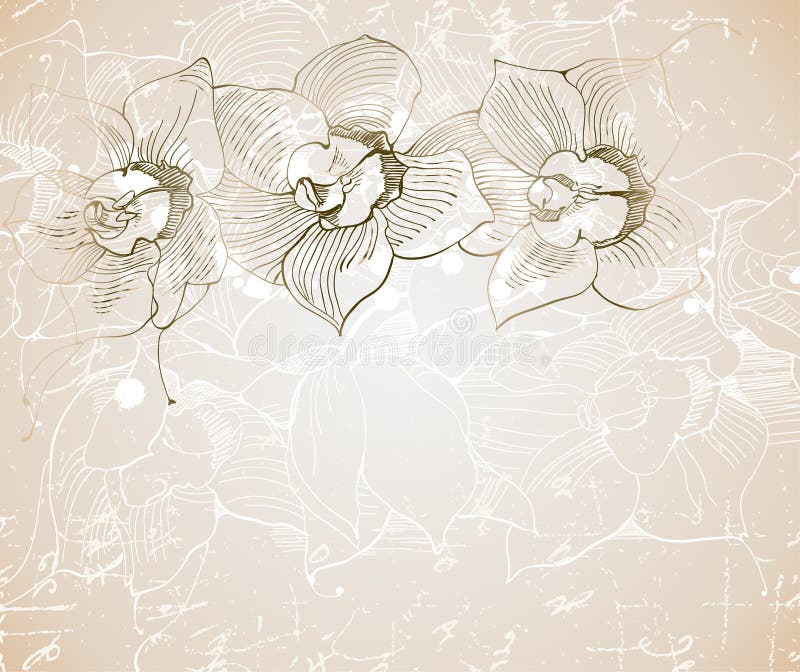 Papel con la orquídea libre illustration Papel con la orquídea libre illustration