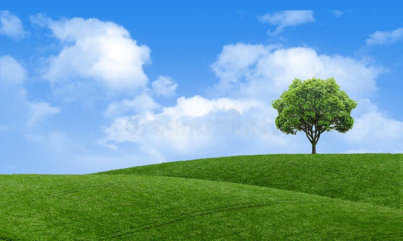 Papel de parede cênico da opinião da paisagem verde do verão Árvore solitário no monte gramíneo e no céu azul com nuvens primaver fotos de stock Papel de parede cênico da opinião da paisagem verde do verão Árvore solitário no monte gramíneo e no céu azul com nuvens primaver fotos de stock