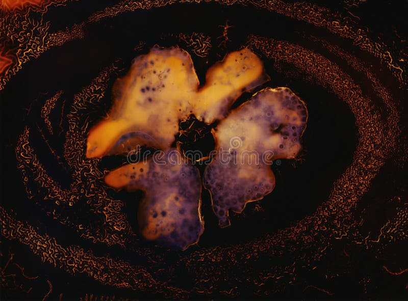 Papel de parede da textura do projeto do Fractal ilustração do vetor