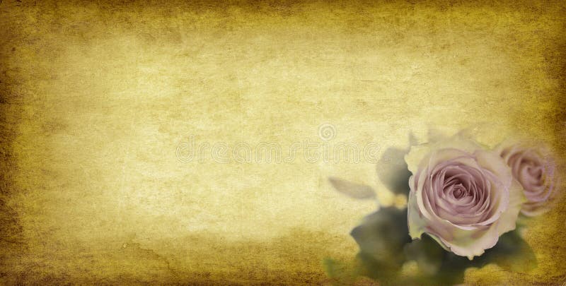 Papel e rosas velhos fotografia de stock Papel e rosas velhos fotografia de stock