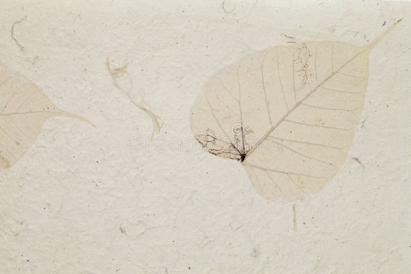 Papel de hoja hecho a mano imagen de archivo