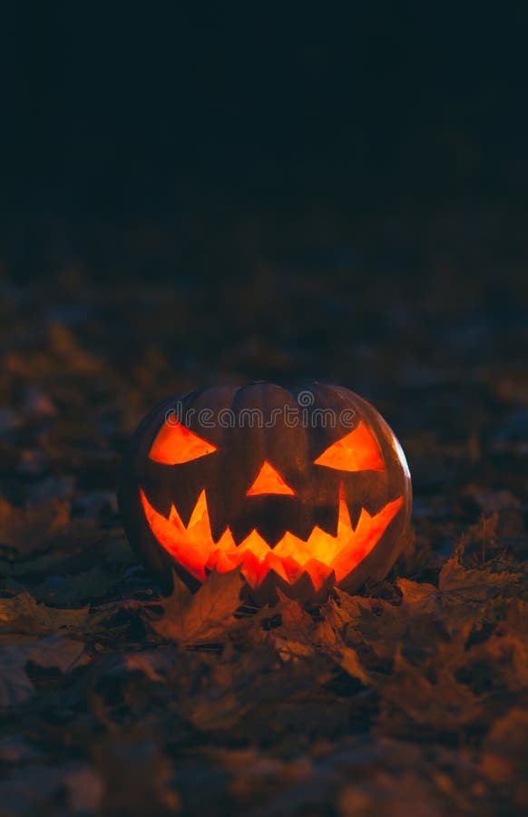 La Calabaza De Halloween En Fondo Oscuro El Día De Fiesta, Tres Diversos Fondos De La Calabaza Wallpaper Foto de archivo - Imagen de fondo, anaranjado: 127624168 La Calabaza De Halloween En Fondo Oscuro El Día De Fiesta, Tres Diversos Fondos De La Calabaza Wallpaper Foto de archivo - Imagen de fondo, anaranjado: 127624168