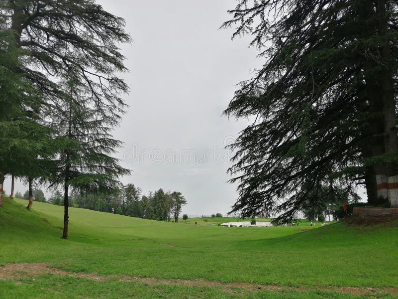 Papel pintado hermoso de la naturaleza y fondo natural de Himachal Pradesh en la India imágenes de archivo libres de regalías