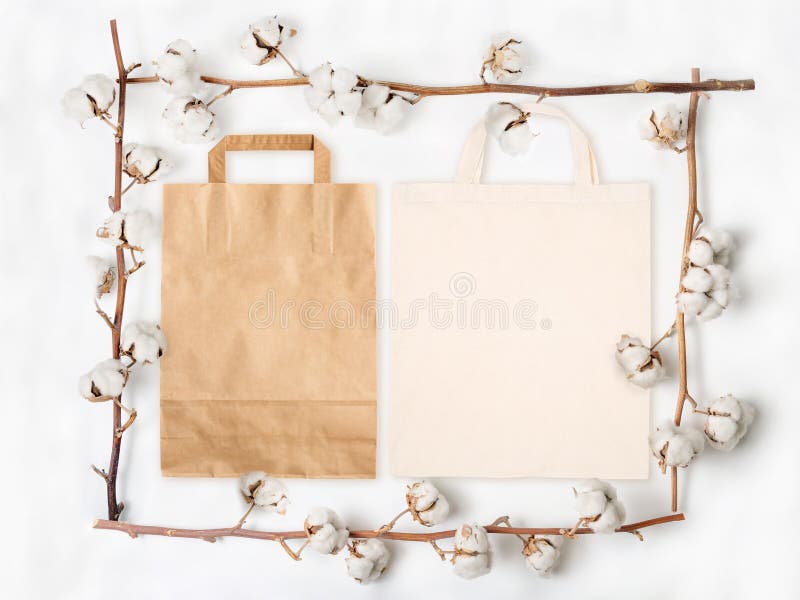 Download Paper Bag And Cotton Bag Within Frame Made Of Cotton Flower Branches On White Background Stock ...