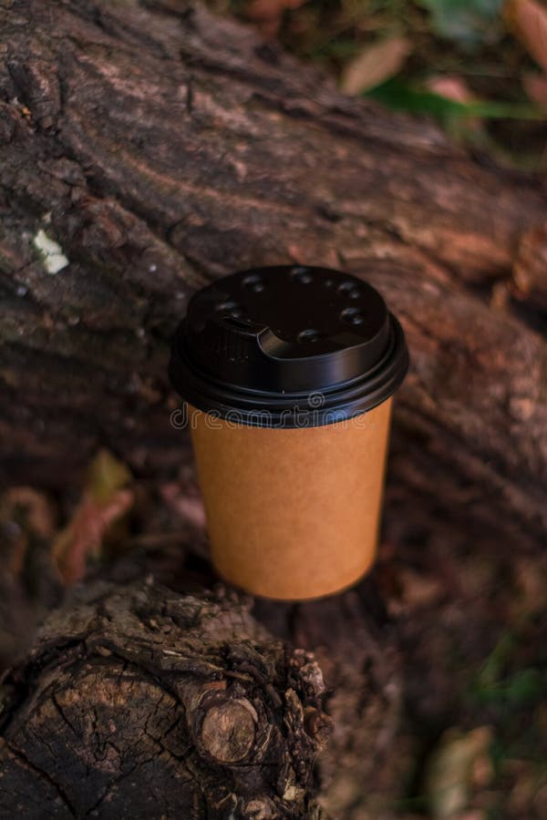 Paper, brown, one-tone and disposable eco-friendly coffee cup to go among autumn foliage and tree bark. royalty free stock photography Paper, brown, one-tone and disposable eco-friendly coffee cup to go among autumn foliage and tree bark. royalty free stock photography