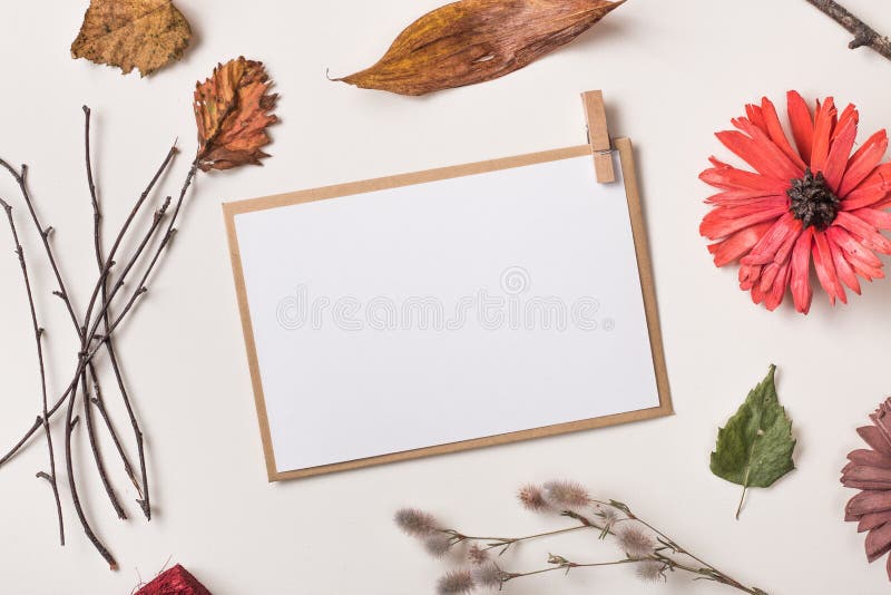 Paper card or invitation and autumn plants