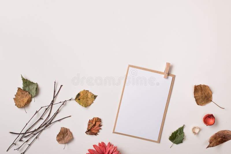 Paper card mock up and autumn dry autumn leaves