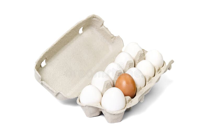 Paper Egg Tray with White Eggs. Chicken White Eggs Close Up Stock Image