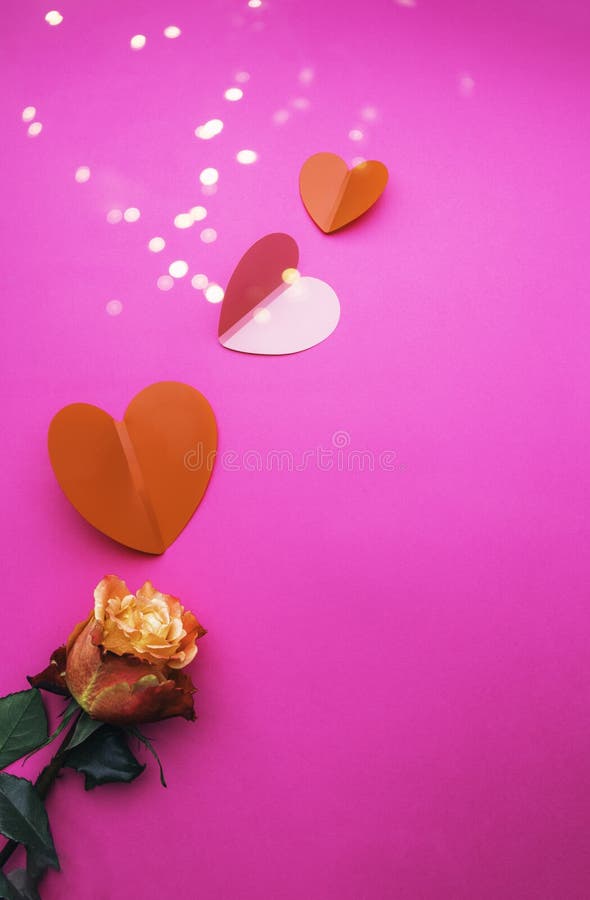 Paper origami hearts with beautiful rose flower on pink background, love gift for Valentine or Weeding Day, Copy space. Paper origami hearts with beautiful rose flower on pink background, love gift for Valentine or Weeding Day, Copy space