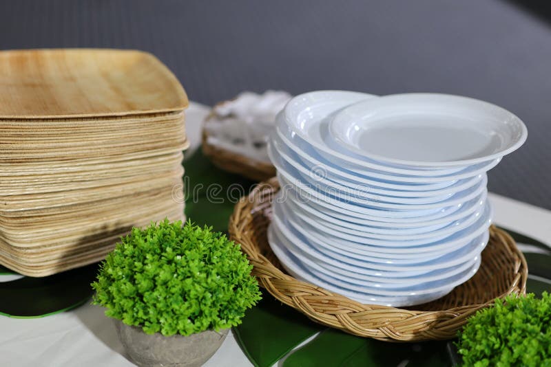 Paper Plates Made from Betel Leaf Husks are Biodegradable, Use Once and