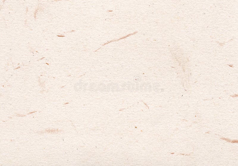 Paper texture royalty free stock images