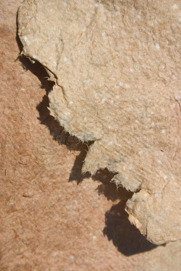 Paper, Texture, Abstract, Pasteboard, Stock Photography Image 723002