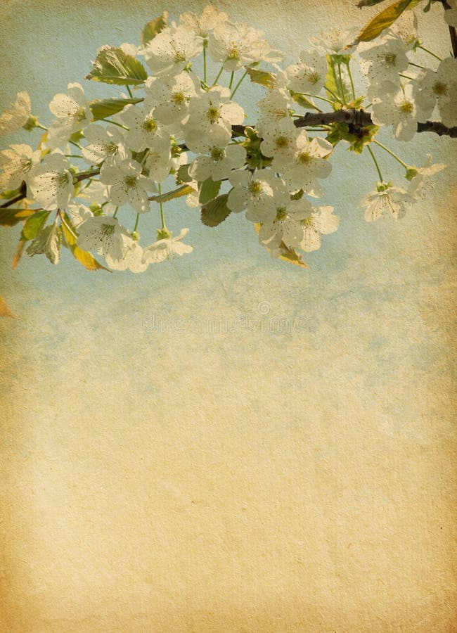 Paper textures. stock photos