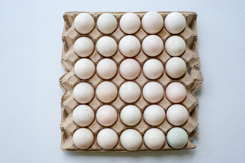 The paper tray with eggs. stock image. Image of isolated 185201577