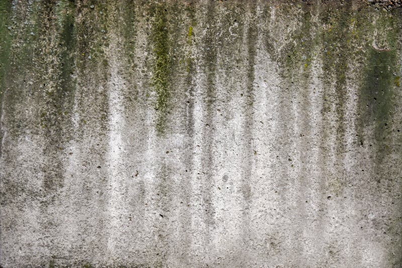 Papier peint extérieur de texture de bâtiment de mousse de vert de mur en béton photo libre de droits Papier peint extérieur de texture de bâtiment de mousse de vert de mur en béton photo libre de droits