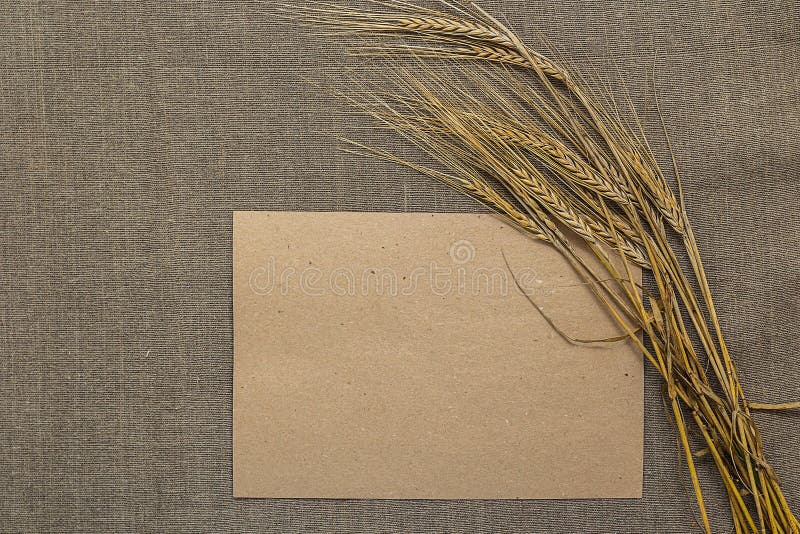 Papier vide avec des épillets de blé image stock Papier vide avec des épillets de blé image stock