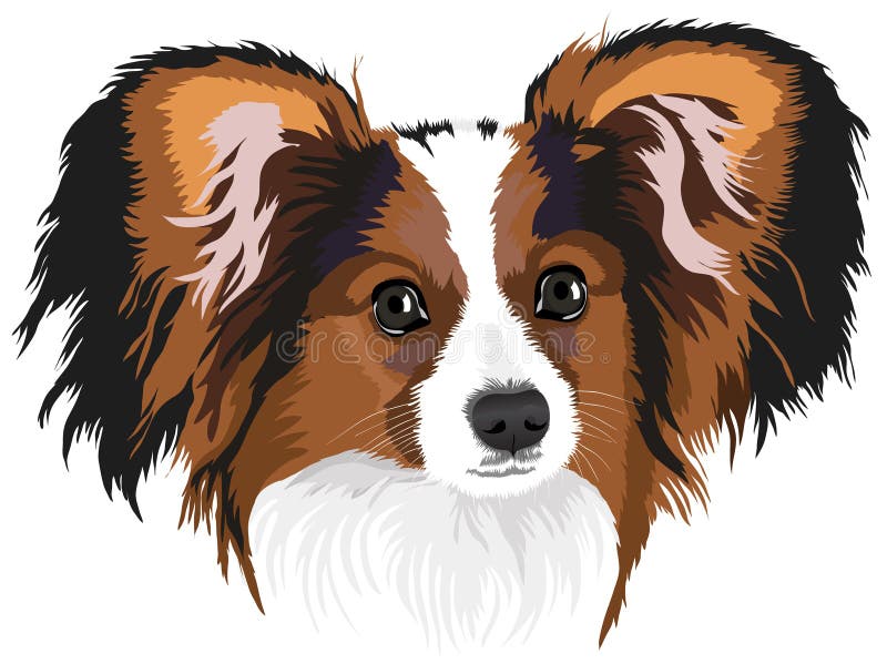 Papillon Dog Clip Art