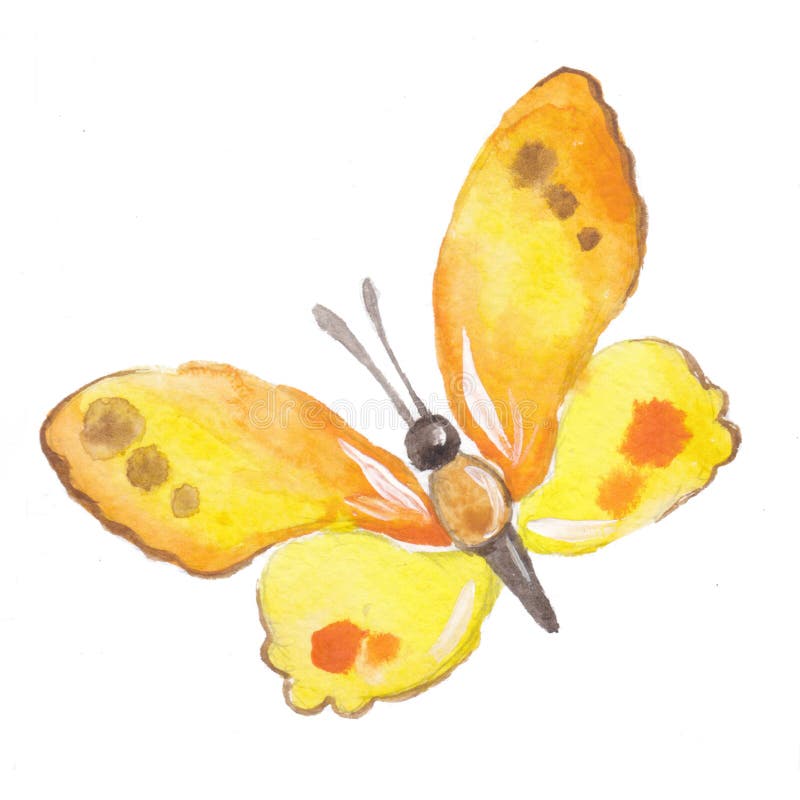 Papillon de jaune orange de handrawn d'aquarelle illustration libre de droits