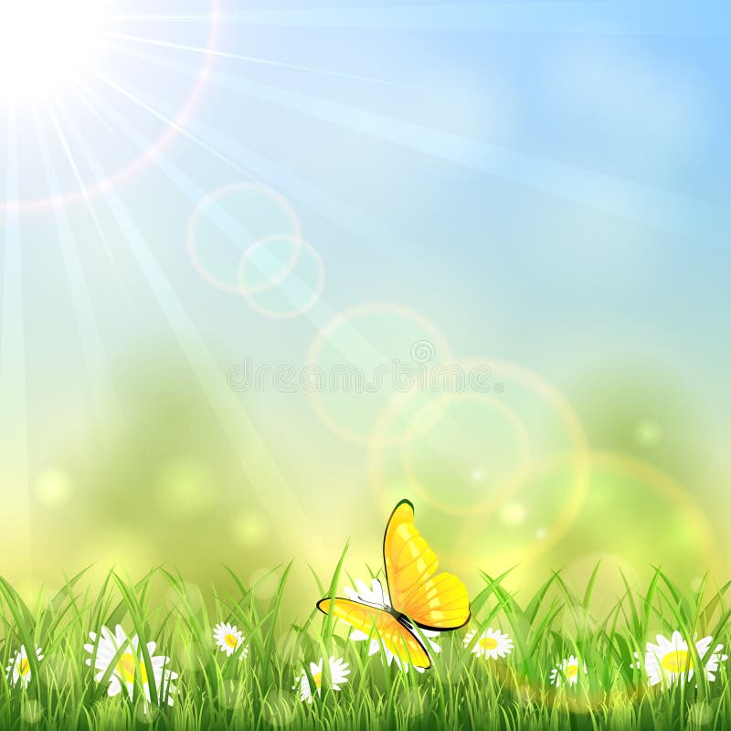 Papillon et fleur jaunes illustration stock