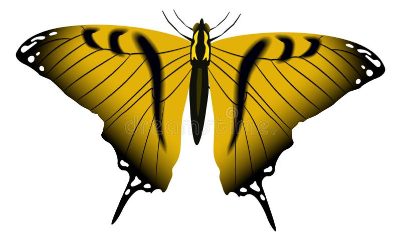 Papillon jaune aux ailes ornées. motoneige réaliste illustration libre de droits