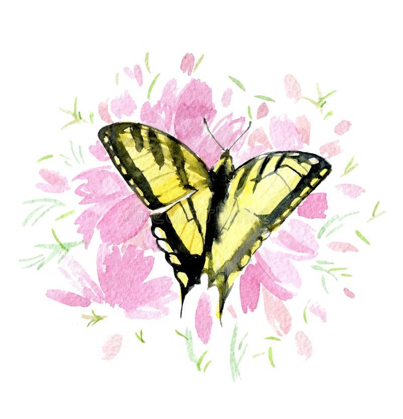 Papillon jaune sur les fleurs roses d'isolement sur le fond blanc, aquarelle illustration libre de droits