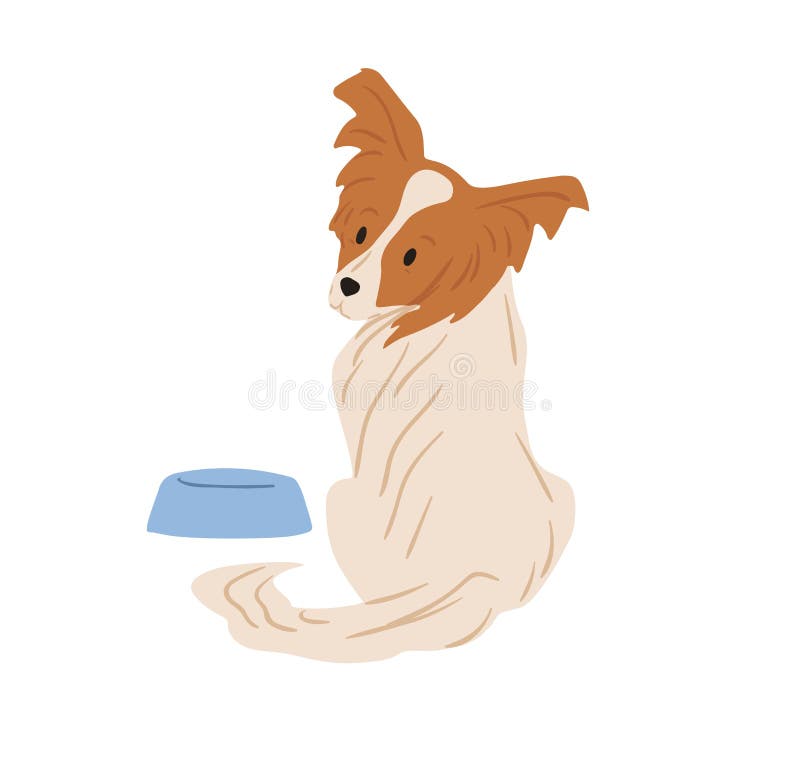 Papillon dog with hairy butterfly-like ears. Continental toy spaniel sitting near feeder and asking for food. Purebred doggy. Colored flat vector illustration isolated on white background. Papillon dog with hairy butterfly-like ears. Continental toy spaniel sitting near feeder and asking for food. Purebred doggy. Colored flat vector illustration isolated on white background.