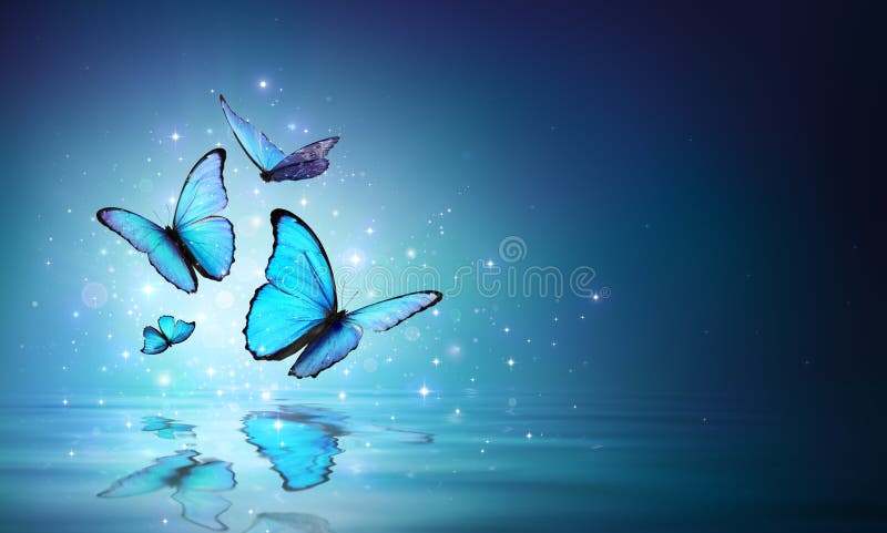 Papillons bleus féeriques sur l'eau