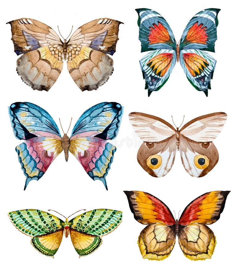 Papillons de trame d'aquarelle illustration stock Papillons de trame d'aquarelle illustration stock
