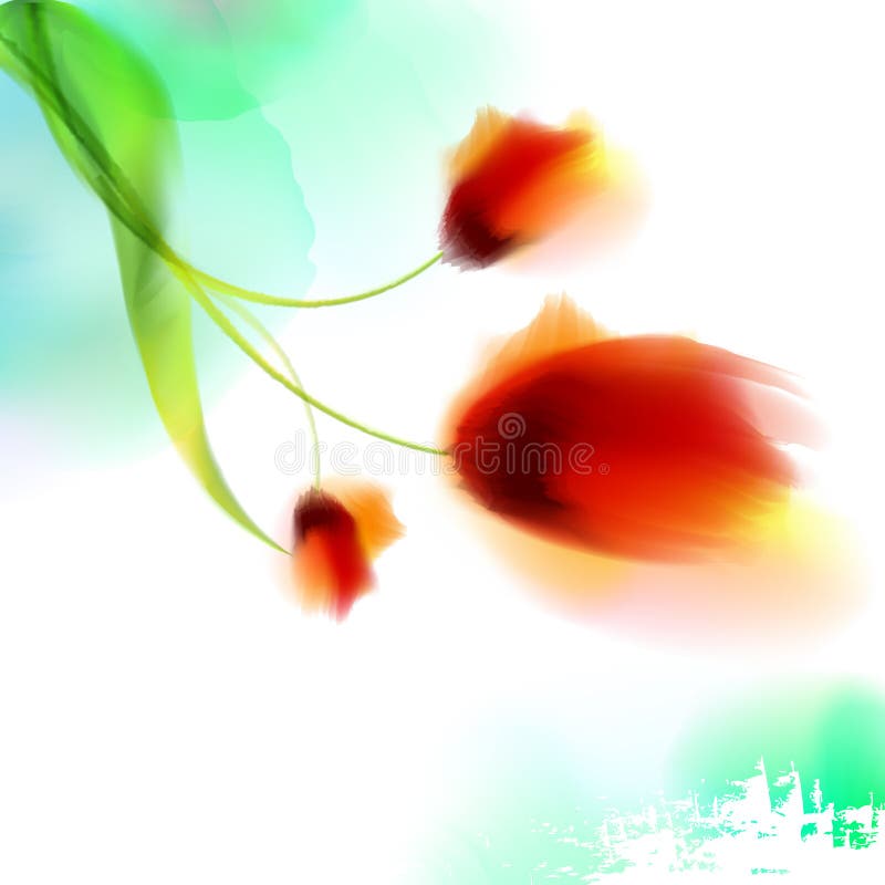 A papoila de florescência romântica da aquarela floresce o molde isolado da ilustração para o casamento, dia de são valentim, dia ilustração do vetor A papoila de florescência romântica da aquarela floresce o molde isolado da ilustração para o casamento, dia de são valentim, dia ilustração do vetor