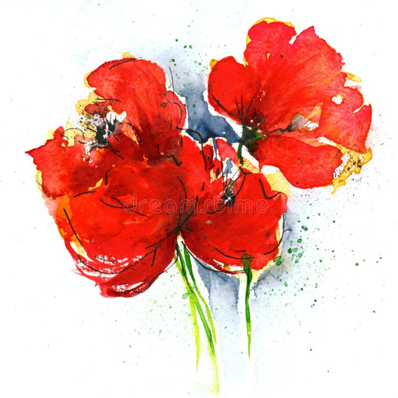 Papoilas no branco ilustração stock Papoilas no branco ilustração stock