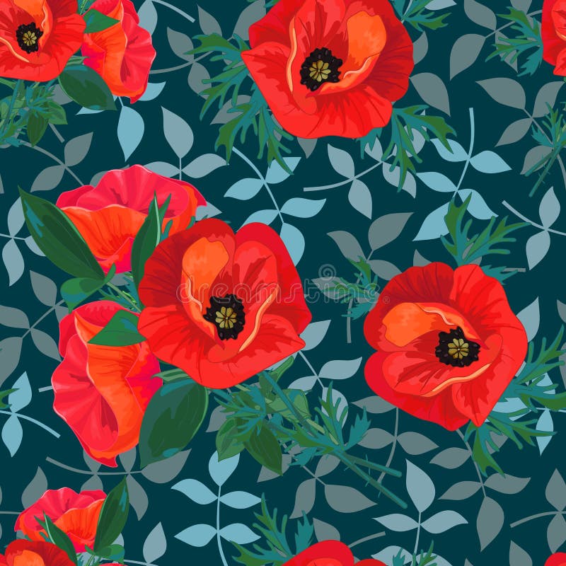 Papoilas vermelhas, folhas em um fundo escuro Teste padrão sem emenda floral com as flores brilhantes grandes Vetor do verão ilustração stock Papoilas vermelhas, folhas em um fundo escuro Teste padrão sem emenda floral com as flores brilhantes grandes Vetor do verão ilustração stock