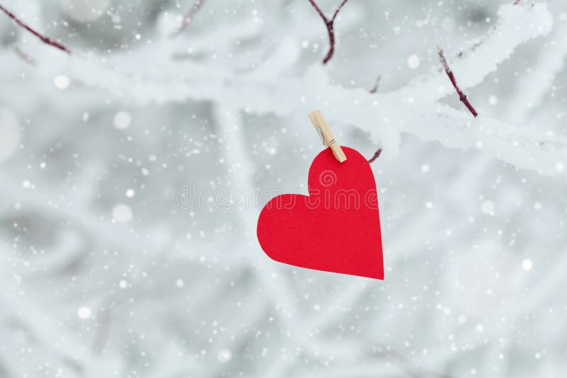 Pappers- hjärta som hänger på snöträdfilialen för valentindag royaltyfri fotografi