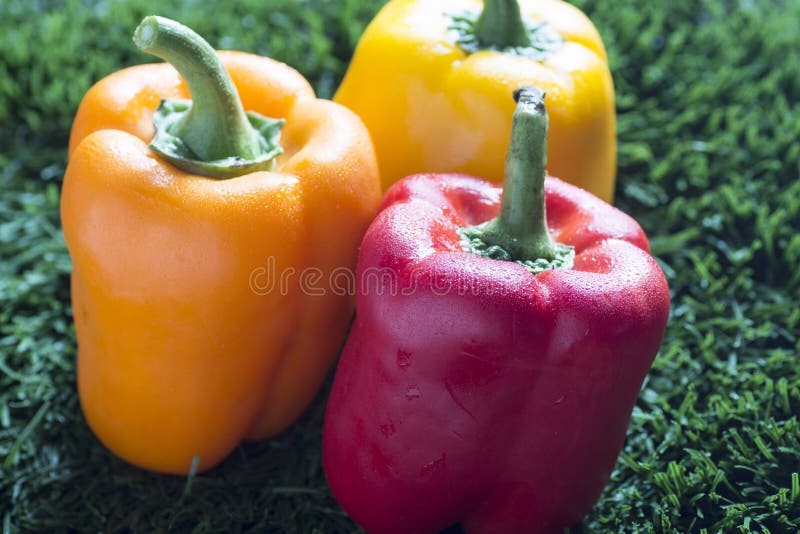 paprica rosse, gialle ed arancio su erba con le gocce di acqua fotografie stock libere da diritti paprica rosse, gialle ed arancio su erba con le gocce di acqua fotografie stock libere da diritti