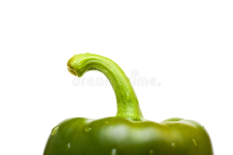 Paprika royaltyfri bild