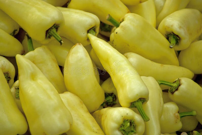 Paprika amarela fotografia de stock Paprika amarela fotografia de stock