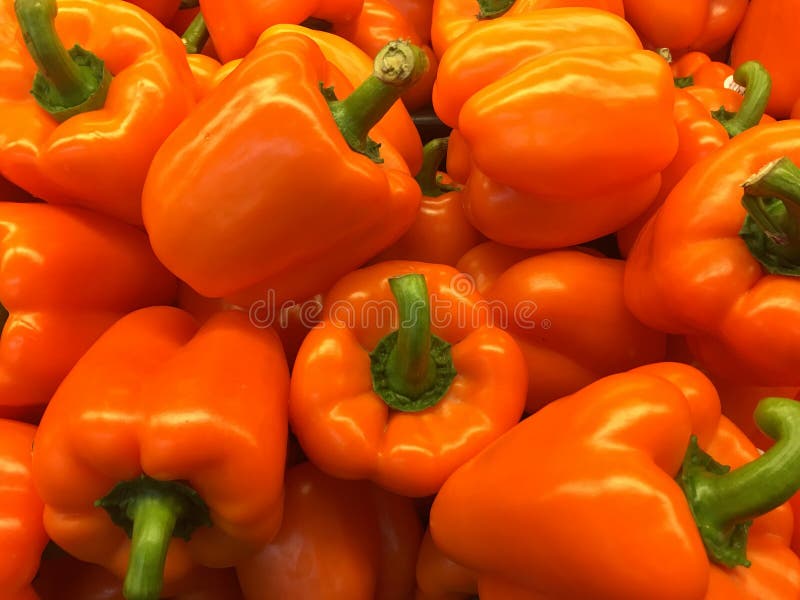 Paprika stock photo. Image of colour, orange, paprika 150316122