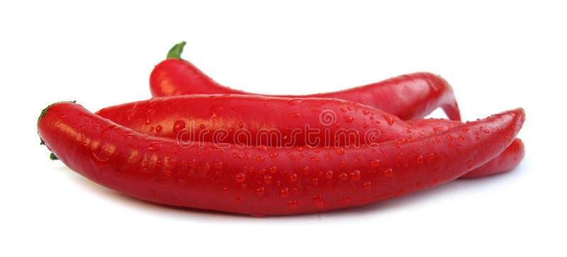 Paprika de rouge de poivrons de /poivron image stock Paprika de rouge de poivrons de /poivron image stock