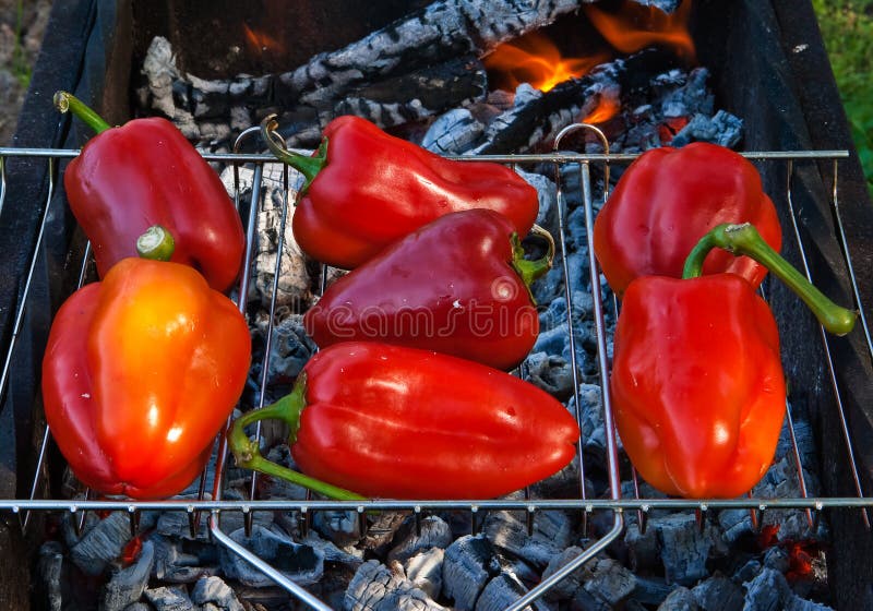 Paprika on grill stock image. Image of food, spice, barbecue 16236083