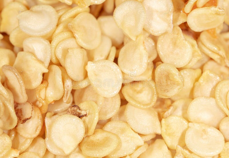 Paprika Seeds Isolated on Wood Stock Photo Image of arrangement
