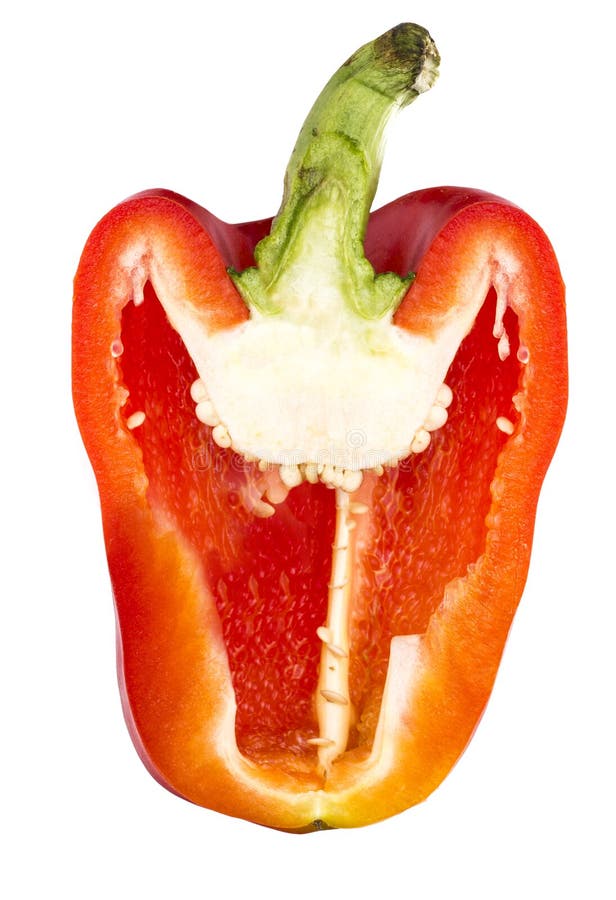 Paprika slice stock image. Image of fresh, capsaicin 42069689