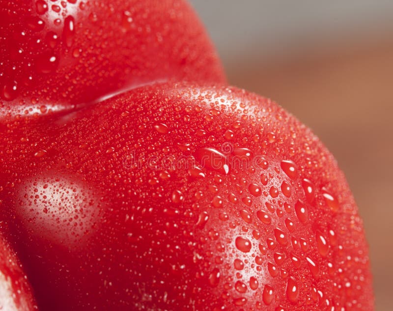 Red hot paprika in water stock photo. Image of meal, close 14700290