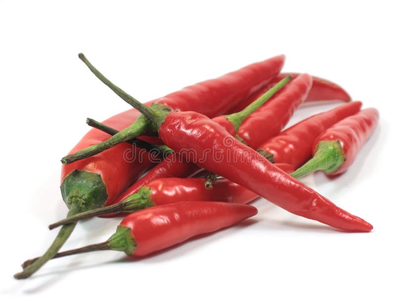 papryka chili czerwone gorące obraz stock papryka chili czerwone gorące obraz stock