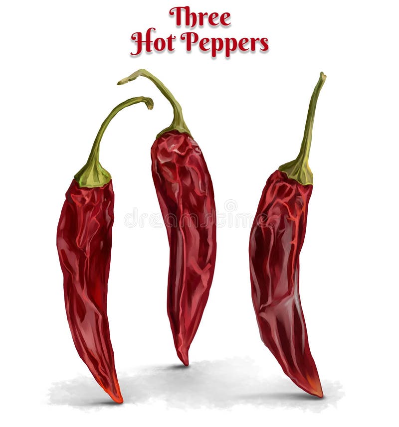 papryka chili trzy gorące ilustracji papryka chili trzy gorące ilustracji