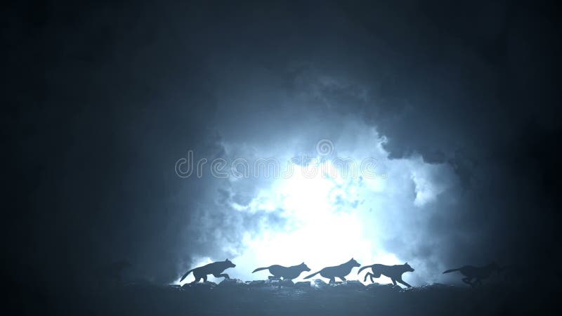 Paquet de loups fonctionnant par une tempête épique de foudre