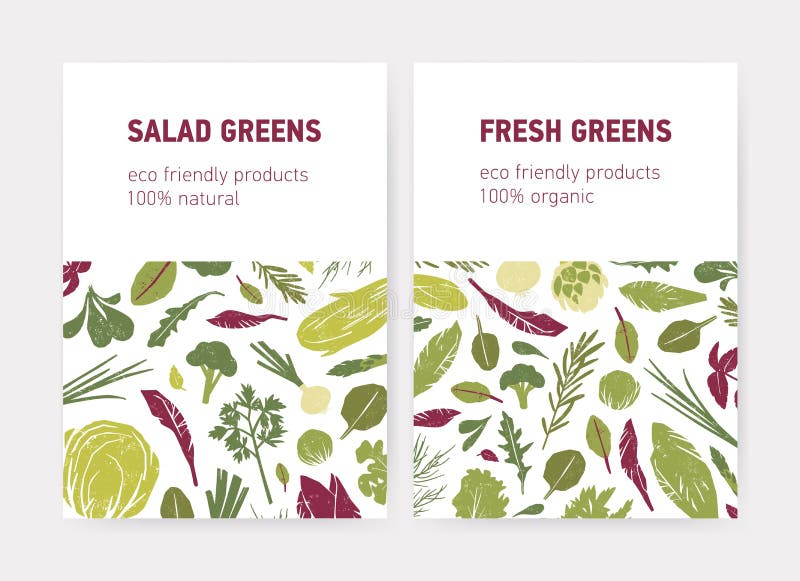 Paquete de plantillas del aviador o del cartel con las verduras verdes, las hojas frescas de la ensalada, las hierbas de la espec ilustración del vector