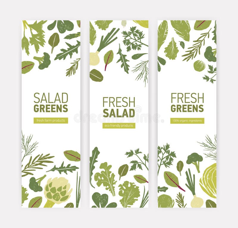 Paquete de plantillas verticales de la bandera de la web con las verduras verdes, las hojas frescas de la ensalada y las hierbas ilustración del vector