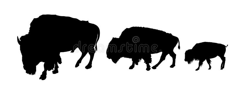 Bison couple with calf vector silhouette illustration isolated on white background. Portrait of Buffalo family herd male and female with baby, symbol of America. Strong animal, Indian culture. Bison couple with calf vector silhouette illustration isolated on white background. Portrait of Buffalo family herd male and female with baby, symbol of America. Strong animal, Indian culture.