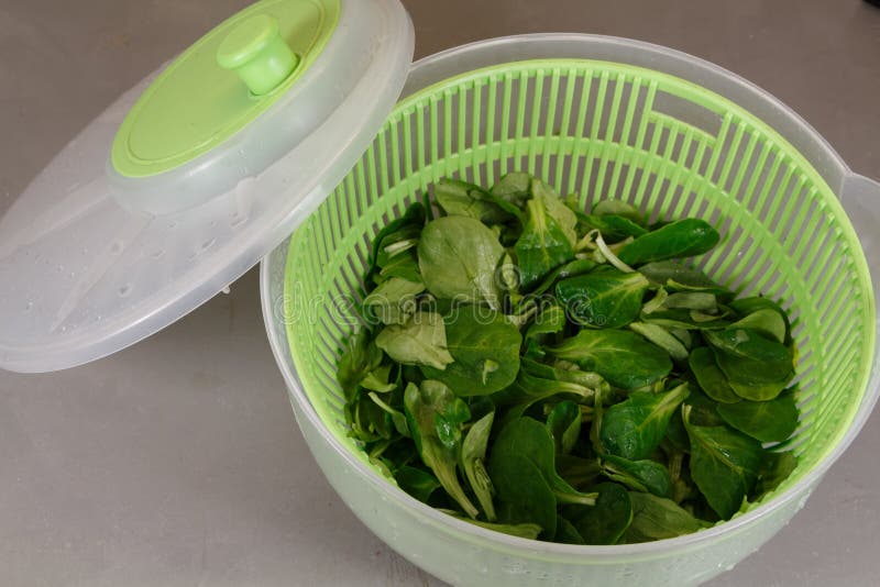 Para la lechuga del ` s en un hilandero de la ensalada imagenes de archivo Para la lechuga del ` s en un hilandero de la ensalada imagenes de archivo
