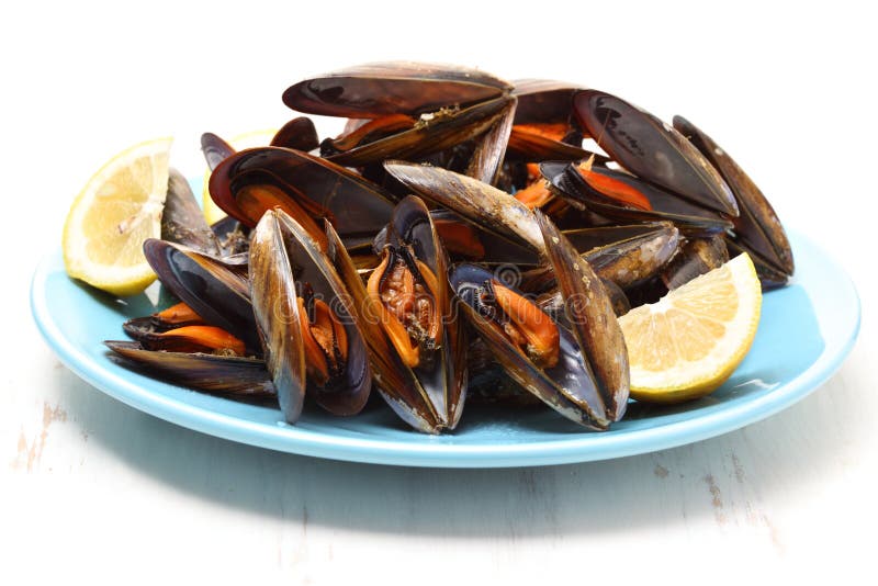 Paraboloïde des moules bouillies photo libre de droits Paraboloïde des moules bouillies photo libre de droits