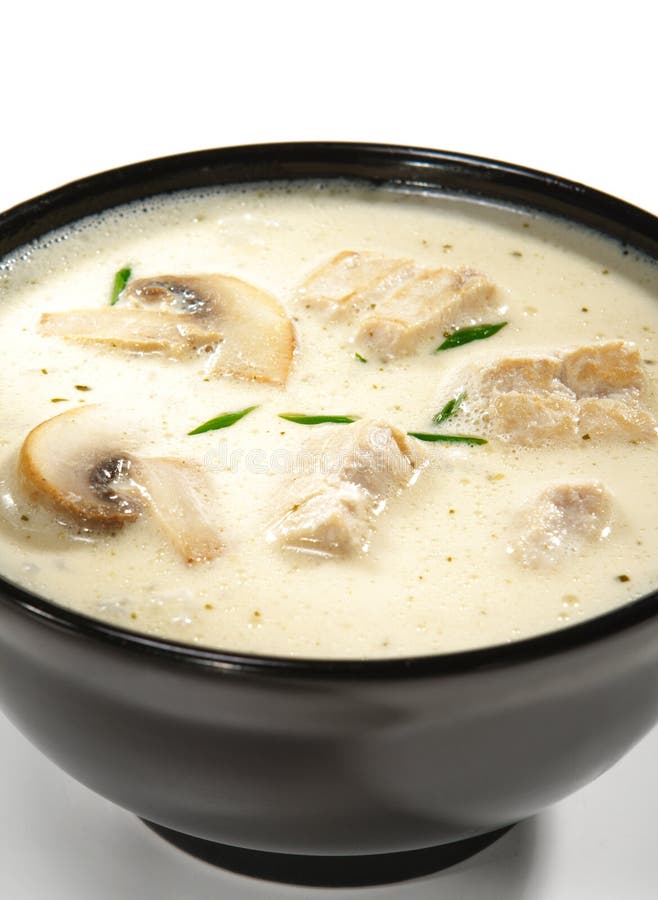 Paraboloïdes thaïs - potage avec du lait de Cocos photographie stock libre de droits